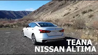 Nissan Altima Teana 2020 на русском