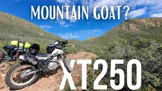 Yamaha XT250 - Mountain Goat?