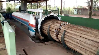 Tratamento da Madeira de Eucalipto na Autoclave  - COMPANHIA DO EUCALIPTO