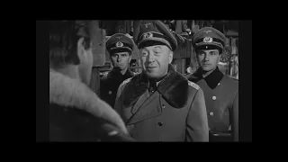 Stalag 17 (Full Movie) (Oscar performance)