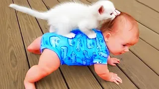 I FOUND Funniest Cats and Dogs Funny Animal Videos 😅😅😅😅