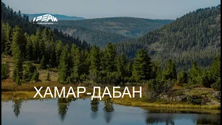 Хамар-Дабан 2020. Таким вы его еще не видели! Байкал, Пик Черского, Пик Босан (съемка с дрона, 4K)