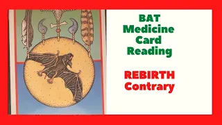 Bat Medicine Card Reading - Rebirth Contrary - Native American Spirituality