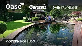 Modern Koi Blog #5542 - Andreas' kristallklarer Teich mit Topbesatz