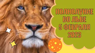 ПОЛНОЛУНИЕ 5 ФЕВРАЛЯ 2023 ВО ЛЬВЕ И ЕГО ВЛИЯНИЕ НА ЗНАКИ ЗОДИАКА