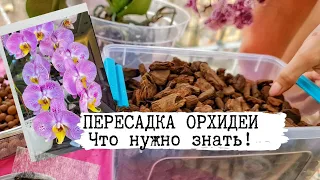 Пересадить орхидею проще простого!Два вида субстрата: невлагоёмкий и влагоёмкий. Мой успешный опыт)