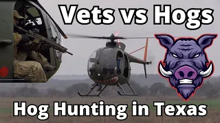 Veterans Helicopter Hog Hunting in Texas - Count the Hogs!