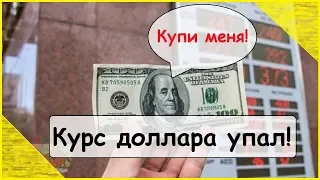 Курс доллара упал.Когда покупать доллар.Прогноз курса доллара