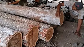 Skills in sawing acacia wood quickly and efficiently as material for making doors and so on.SSI asmr