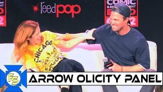 ARROW Panel - Stephen Amell / Emily Bett Rickards - C2E2 2020