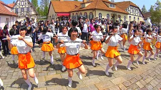 京都橘ブルーメンパレード2016 Kyoto Tachibana SHS Band (Apr 24, 2016 AM)