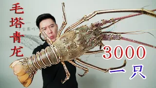 3000 buy a super large lobster, the sashimi tastes super smooth