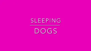 Sleeping dogs (electrofunk) |DJJZJ
