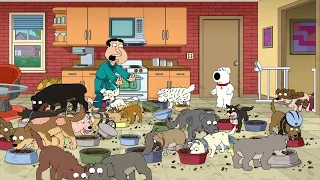 Family Guy - Quagmire and the overly excited dogs