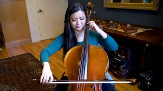 « Can You Hear the Difference Between One Million Dollar & $5000 Cello? |