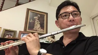 Kiss The Rain on solo flute