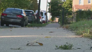 Outrage among city leaders after girl, 11, sexually assaulted in South Side alley