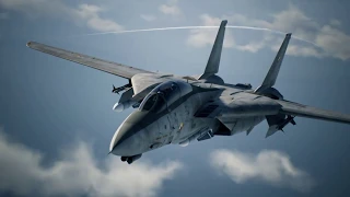 Highway to the Danger Zone (Ace Combat 7 F-14D Montage)