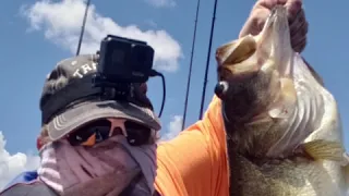 Double digit bass and 8lb bass smash topwater