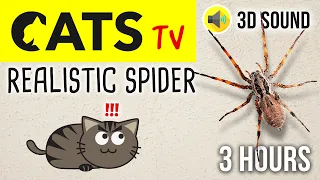 CATS TV - Realistic Spider 🕷3 HOURS (Video Game for Cat)