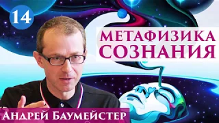 Метафизика сознания. Можно ли отрицать свободу воли? 14/14