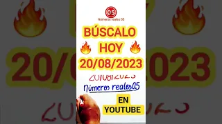 Un NÚMERO FUERTE para HOY #númerosreales_05_hoy #dineroparahoy #viral #shortvideos #youtubeshorts