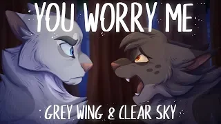 YOU WORRY ME【Grey Wing & Clear Sky || PMV】