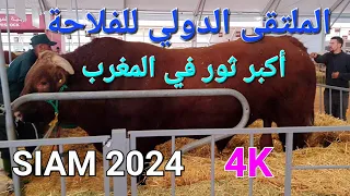 المعرض الدولي للفلاحة مكناس 2024 الأغنام والأبقار والدجاج