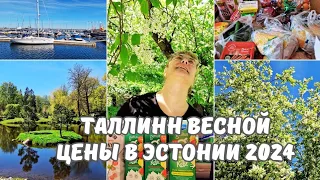 Эстония Таллинн.Утро у косметолога.Район Ноблесснер.Японский сад в парке Кадриорг.Цены в Эстонии