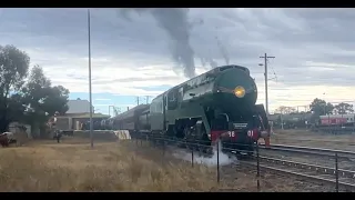 Australian Steam Trains: 3801 Western Regional Tour;  Arriving Dubbo