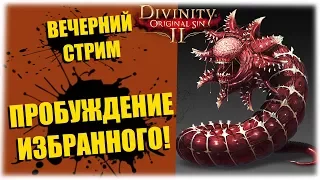 Пробуждение Избранного! - Divinity - Original Sin 2 - Вечерний стрим!