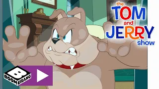 The Tom and Jerry Show | How To Be Spike | Boomerang UK🇬🇧