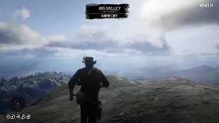 I went outside the map and tried to get into New Austin with Arthur and this is what happened