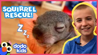 Guy And Dog Save Baby Squirrel | Animal Videos For Kids | Dodo Kids | #CampYouTube #WithMe