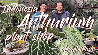 Karteldaun | Rare Anthurium Plant Shop In Indonesia - Tour with Founder!