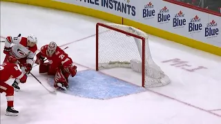 Jimmy Howard robs Hurricanes’ Skinner with huge glove save