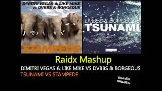 Dimitri Vegas & Like Mike vs DVBBS & Borgeous - Stampede vs Tsunami (Raidx Mashup)