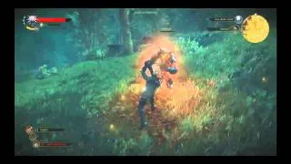 Боевые сцены игры The Witcher 3: Wild Hunt