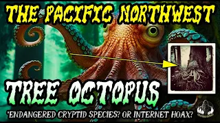 PACIFIC NORTHWEST TREE OCTOPUS! - The Rise and Fall of A Cryptid Legend...