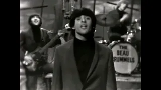 NEW * Laugh Laugh - The Beau Brummels {Stereo} 1964