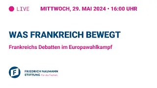 Was Frankreich bewegt - Frankreichs Debatten im Europawahlkampf