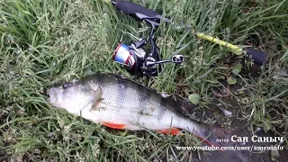 Знакомство со спиннингом Maximus Ichiro 18UL 1.8м 1-7г и катушкой DAIWA 18 NINJA LT2000