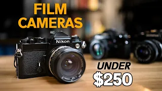 Best Value 35mm film SLR cameras