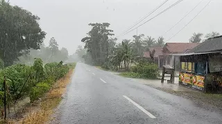 Heavy Rain and Strong Winds for Long Time in Village Life | Rain Sounds Introduction Sleeping