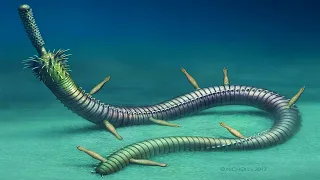 Prehistoric Parasitic Worms From Half a Billion Years Ago