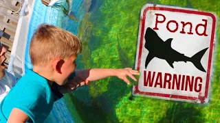 JAWS Attacked Little Kid in Aquarium!! **Crazy**