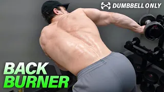 Dumbbell Back Workout At Home to Get Ripped!