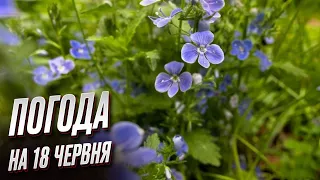 🥵 Погода на 18 червня: коли спаде спека в Україні?