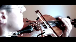 Ave Maria - Bach (Violin, Cello & Piano - Trio Vivo)