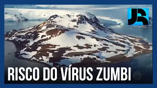 Aquecimento global pode provocar reaparecimento de ‘vírus zumbi’, congelados há quase 50 mil anos